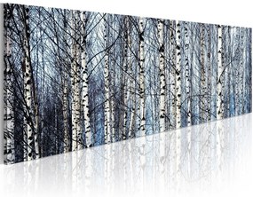 Πίνακας - White birches 120x40