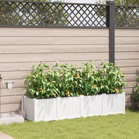 vidaXL Γλάστρες Κήπου 1 τεμ Λευκό 160 x 40 x 37.5 cm Πλαστικό