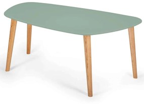 Τραπέζι Σαλονιού Endocarp ENDOCARPCT17 110x66x45cm Sage Green