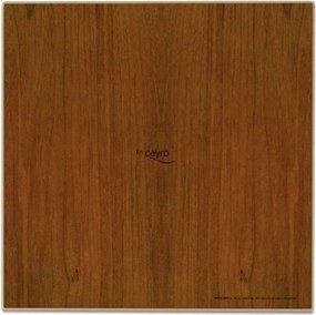 Οι Περιπέτειες Της Ladybug Cayro T-133 Ξύλο