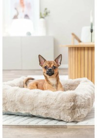 Κρεβάτιγια Σκύλους Trixie Άμμο 60 × 50 cm