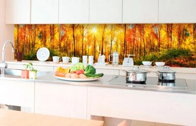 Αυτοκόλλητη φωτοταπετσαρία για κουζίνα ηλιόλουστο δάσος - 350x60