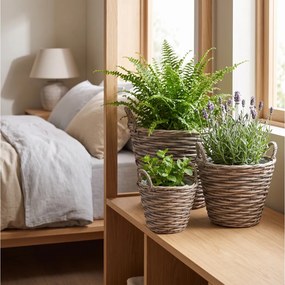 ΚΑΣΠΏ &amp; ΓΛΆΣΤΡΕΣ DECO SET 3 ΨΑΘΙΝΑ ΚΑΛΑΘΙΑ 435100110