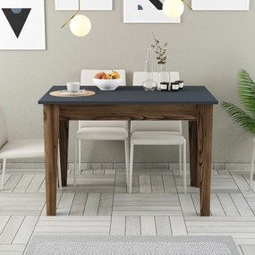 Kitchen Table Kiev 505 - Walnut, White Walnut
White