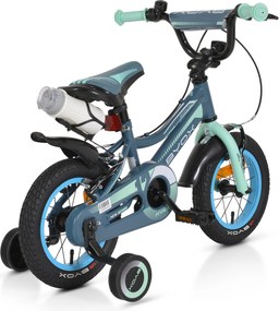 Children bicycle 12 Prince grey