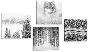 Σετ εικόνων λύκος σε ένα μυστηριώδες δάσος σε μαύρο & άσπρο - 4x 60x60