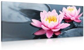 Εικόνα λουλούδι λωτού στη λίμνη - 100x50