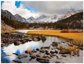 Φωτοταπετσαρία - Mountain stream 350x270