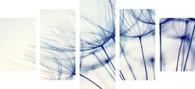 Εικόνα 5 τμημάτων Πικραλίδα σε μοναδικό σχέδιο - 200x100