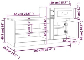 Παπουτσοθήκη Γυαλιστερό Λευκό 100x42x60 εκ. Επεξεργασμένο Ξύλο - Λευκό