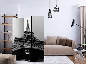 Διαχωριστικό με 3 τμήματα - Paris Giant [Room Dividers]