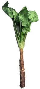 Τεχνητή Χωνευτή Μπανανιά 6730-6 65x154cm Green Supergreens Polyurethane