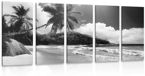 Εικόνα 5 μερών μιας όμορφης παραλίας στις Σεϋχέλλες σε ασπρόμαυρο - 200x100