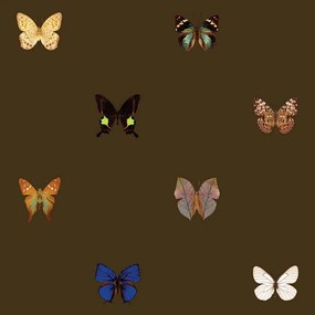Ταπετσαρία DUTCH WALL DECOR NATURAL HISTORY NH250057-DWD