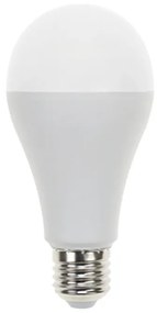 Λάμπα LED Diolamp E27/17W/4000K/1870Lm A6517NW