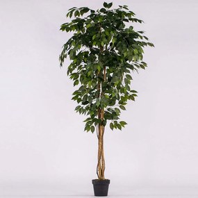 Τεχνητό Δέντρο Φίκος Bengie 6140-6 183cm Green Supergreens Πολυαιθυλένιο