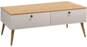 Τραπεζάκι Σαλονιού Alis 0248438 110x50x40cm White-Oak