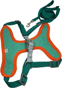 Σαμαράκι για Σκύλους με Λουρί