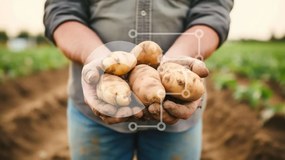 Intra Συλλεκτικό Ξύλινο Παζλ Plywood 4mm - Άνθρωπος που συγκομίζει πατάτες από το χωράφι Σε Ξύλινο Κουτί - Διαστάσεις Puzzle: 10x10 cm – 25 κομμάτια