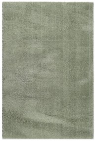 Χαλί (160x230) Polcarpet Veloute Cozy 1820 Mint