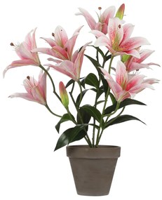 Τεχνητό Λουλούδι Σε Γλάστρα (Φ45x47) Edelman Tiger Lily 1079764