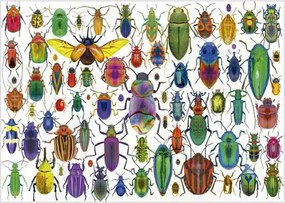 Παζλ Educa Beetles