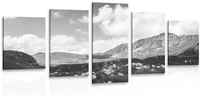 Εικόνα 5 τμημάτων Κοιλάδα στο Μαυροβούνιο σε ασπρόμαυρο - 100x50