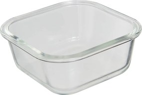 Φαγητοδοχείο 500ml F-V Clipeat Plus 217601