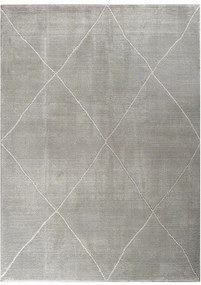 Χαλί Sign 36408-095 Grey Merinos 160X235cm