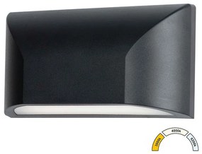 Adeleq Φωτιστικό LED PC Επίτοιχο Οβάλ Μονής Κατεύθυνσης 6W CCT IP65 Γραφίτης 9-96618
