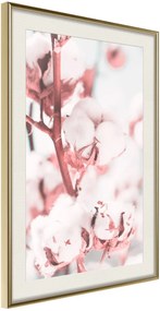 Αφίσα - Cotton Flowers - 20x30 - Χρυσό - Με πασπαρτού