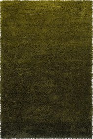 Χαλί Shade High 011907 Green Brink &amp; Campman 200X300cm