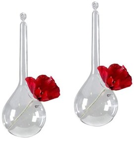 Βάζο Dropped Hang 18/25 B0808273 Clear Serax Glass