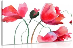 Εικόνα μοναδικά λουλούδια παπαρούνας - 120x80