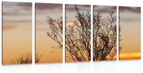 5 μέρη εικόνα κλαδιά στο ηλιοβασίλεμα - 200x100