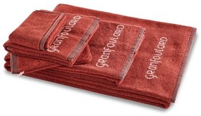 Πετσέτα Shades R1 9307708 Cotto Bassetti Χεριών 40x60cm 100% Cotton