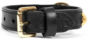 Κολλάρο Σκύλου Gloria Duna Μαύρο Χρυσό (55 x 2.5 cm)