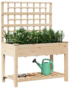 vidaXL Κήπος Γλάστρα με Πλέγμα & Ράφι 115x59x152 εκ Μασίφ Ξύλο Πεύκου