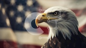 Σετ των 2 Intra Συλλεκτικό Ξύλινο Παζλ Plywood  4mm - Φαλακρός αετός κατά της αμερικανικής σημαίας Σε Ξύλινο Κουτί - Διαστάσεις: 10x10 cm – 25 κομμάτια