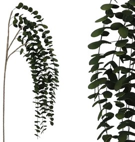 MarHome FOAM ΠΡΑΣΙΝΟ  ΕΥΚΑΛΥΠΤΟΣ ΚΡΕΜΑΣΤΟ Y130/72cm 6/60KIB  00-6116-1