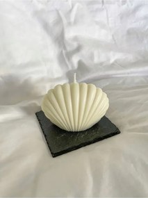 Stewehome Αρωματικό κερί στρείδι Λευκό 7x10 cm