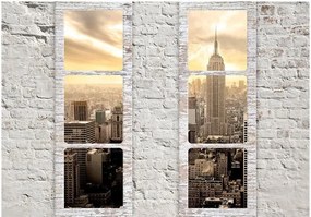 Αυτοκόλλητη φωτοταπετσαρία - New York: view from the window - 245x175