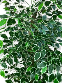 Stewehome Τεχνητό δέντρο Ficus με χρυσή γωνιακή γλάστρα Πολύχρωμο 30x25x151 cm