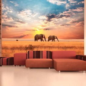 Φωτοταπετσαρία - African savanna elephants 350x270