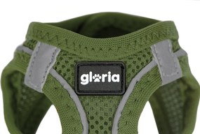 Λουρί Σκύλου Gloria 41,4-43 cm Πράσινο S 29,4-32,6 cm