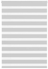 vidaXL Ζέβρα τυφλή Ανοιχτό Γκρι Πλάτος υφάσματος 100,9 εκ. Πολυεστέρας