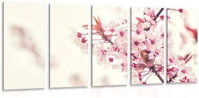 Εικόνα 5 μερών άνθη κερασιάς - 100x50