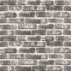 vidaXL Πάνελ τοίχου 10 pcs Σκούρο Γκρι και Λευκό 100 x 50 cm Αφρός EPS