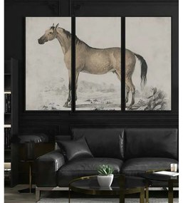 Καμβάς DKD Home Decor πολυστερίνη Καμβάς 180 x 4 x 120 cm 120 x 4 x 60 cm (3 Τεμάχια)