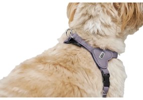 Λουρί Σκύλου Hunter SOHO MINI Λιλά